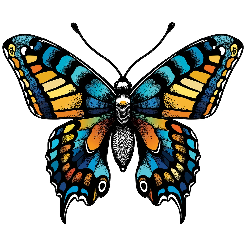 Махаон синий бабочка рисунок