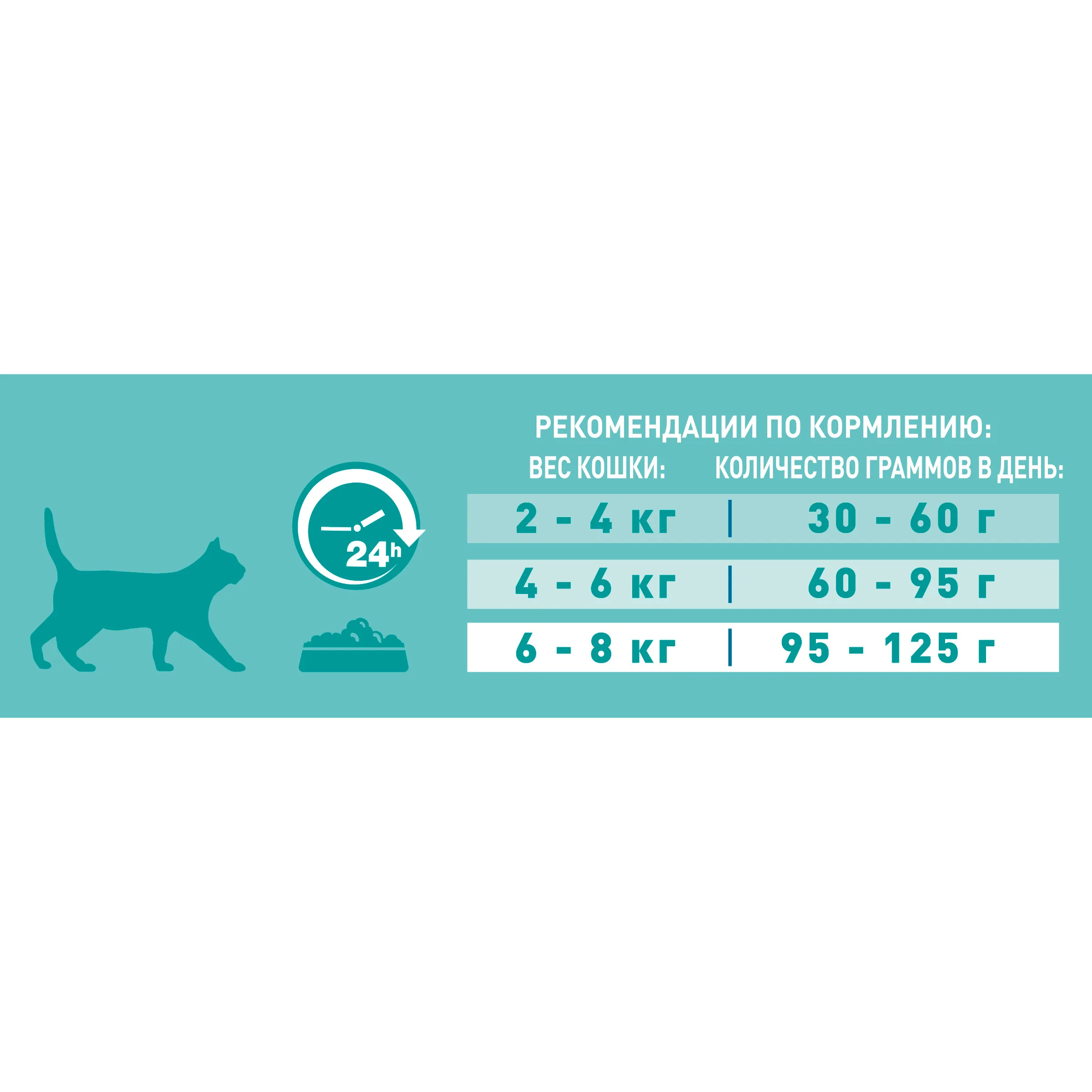 как правильно кормить кошку влажным кормом. как правильно кормить кошку влажным кормом. схема кормления кошек. как правильно кормить кошку влажным кормом. рацион питания кошки.
